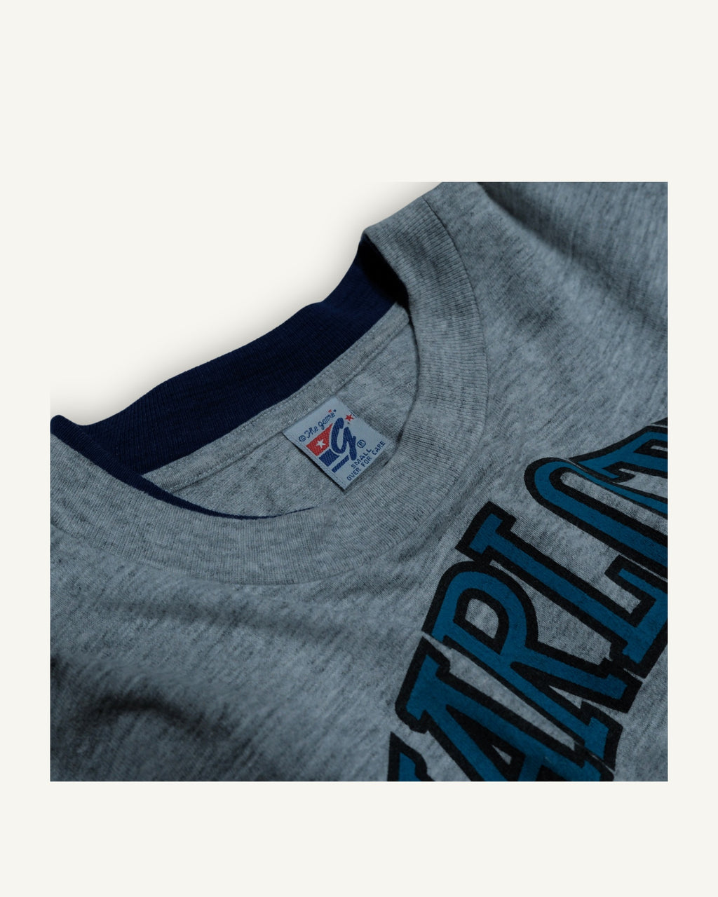 T-shirt Charlotte Hornets grafica NBA grigia con stampa mascotte