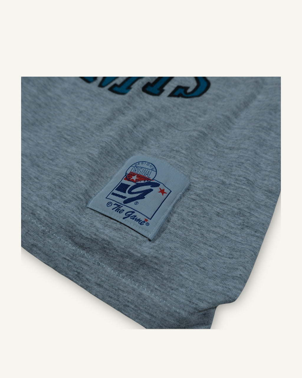 T-shirt Charlotte Hornets grafica NBA grigia con stampa mascotte