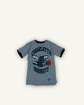 T-shirt Charlotte Hornets grafica NBA grigia con stampa mascotte