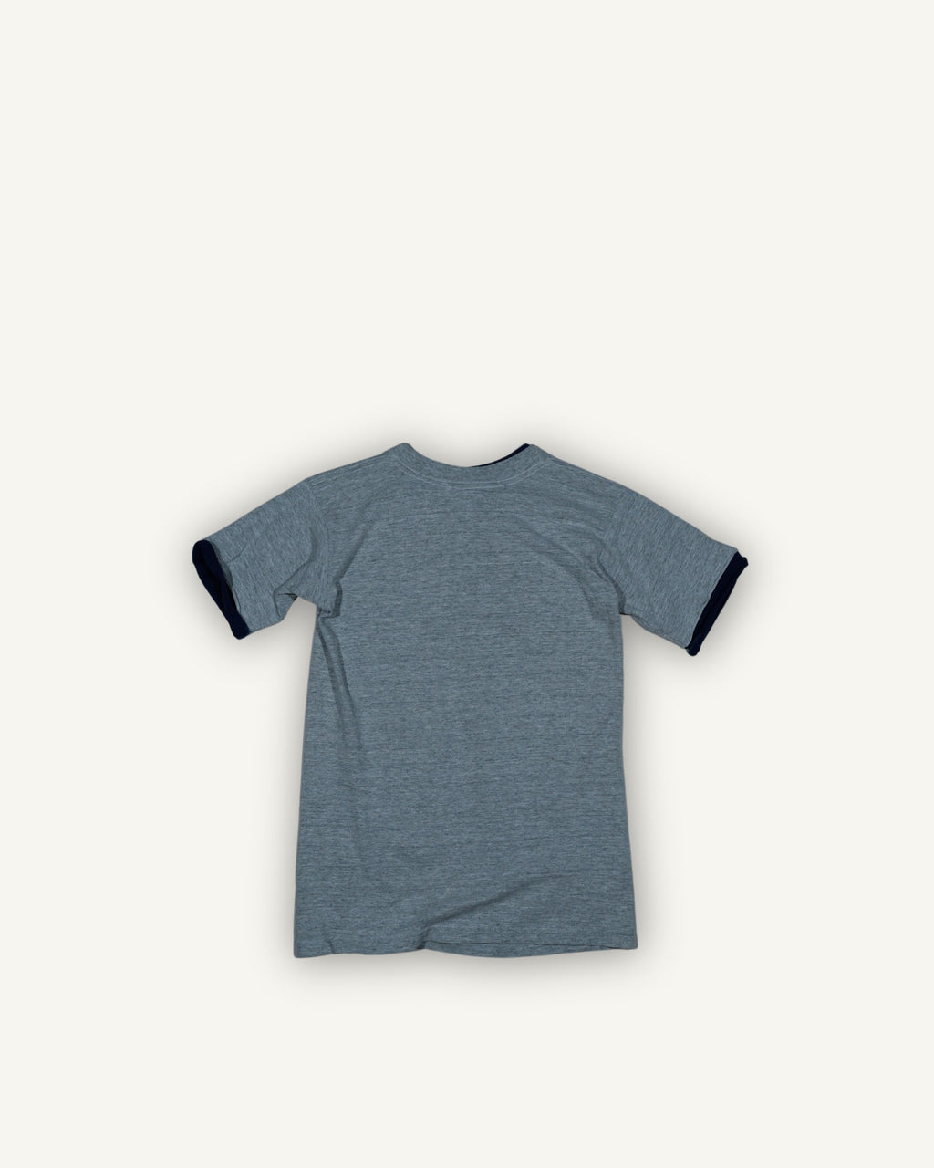T-shirt Charlotte Hornets grafica NBA grigia con stampa mascotte